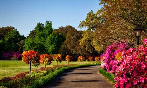 Why You Should Visit Lisle Illinois gardem - Why You Should Visit Lisle Illinois